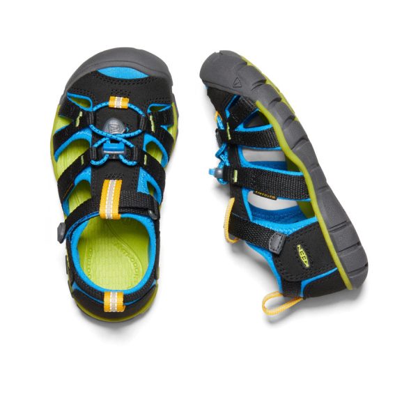 Little Kids' Seacamp II CNX  |  Black/Brilliant Blue - Image 4