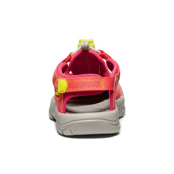 Little Kids' Newport Boundless Sandal  |  Dubarry/Evening Primrose - Image 5