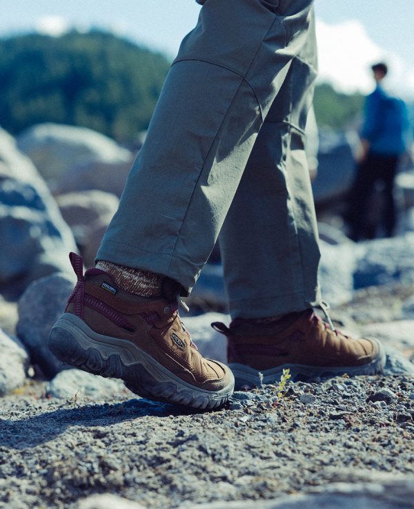 Women's Targhee IV Waterproof Hiking Shoe  |  Bison/Beaujolais - Image 8