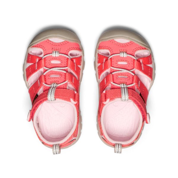 Toddlers' Seacamp II CNX  |  Dubarry/Giggle Pink - Image 4