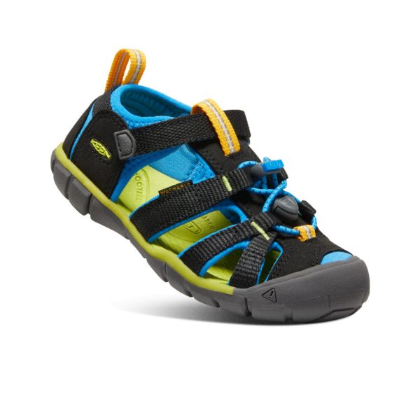 Little Kids' Seacamp II CNX  |  Black/Brilliant Blue - Image 3