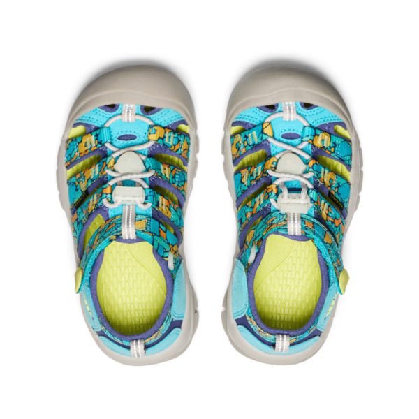 Little Kids' Newport H2  |  Pebble Glow - Image 4