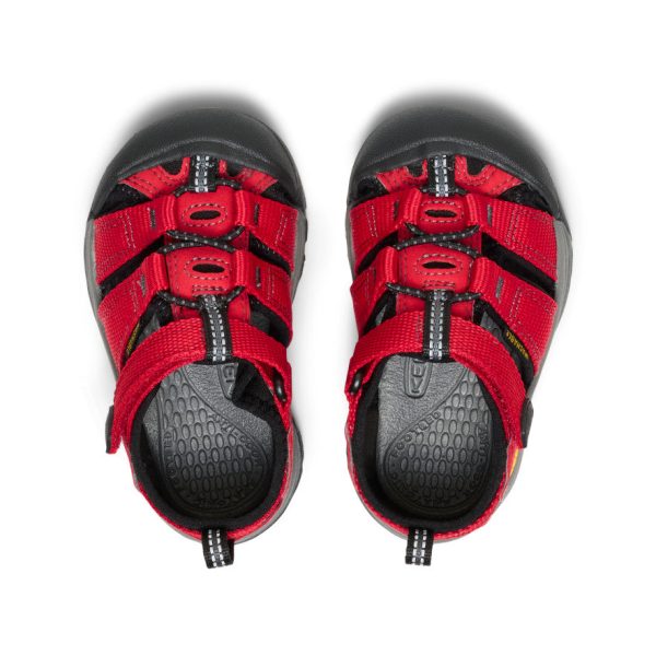 Toddlers' Newport H2  |  Ribbon Red/Gargoyle - Image 4