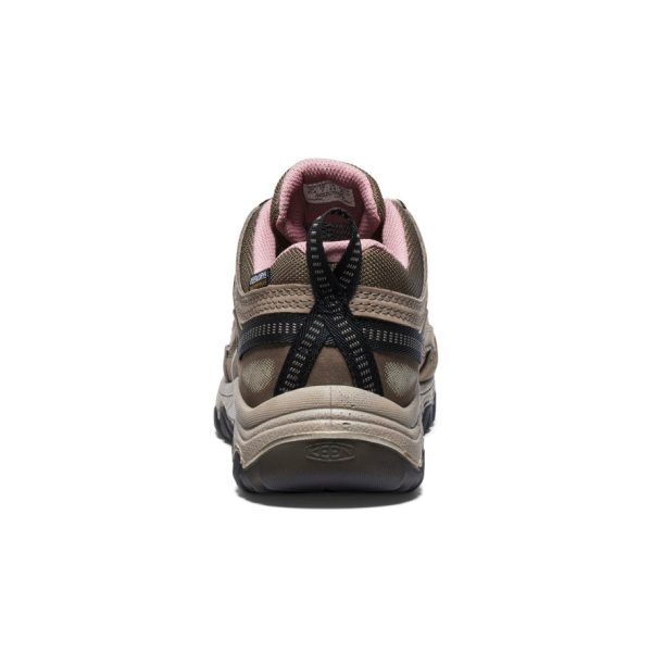 Women's Targhee IV Waterproof Hiking Shoe  |  Brindle/Nostalgia Rose - Image 5