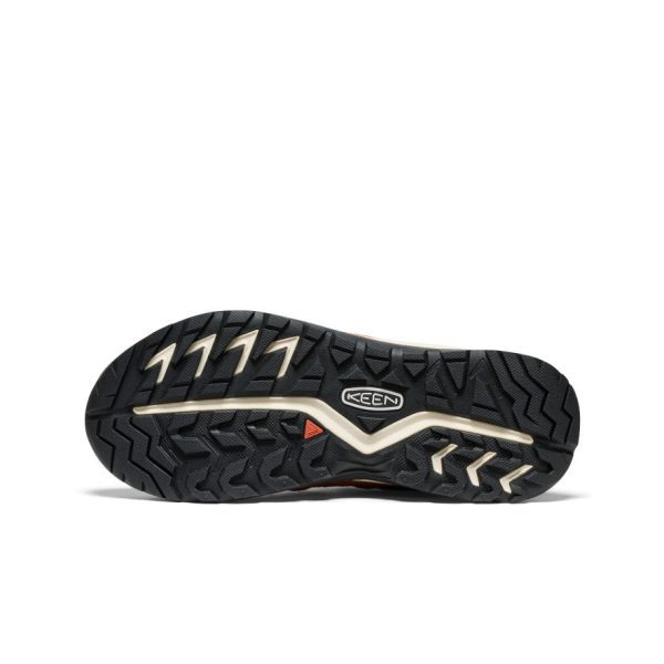 Women's Hightrail Waterproof Hiking Shoe  |  Roasted Pecan/Chipmunk - Image 6
