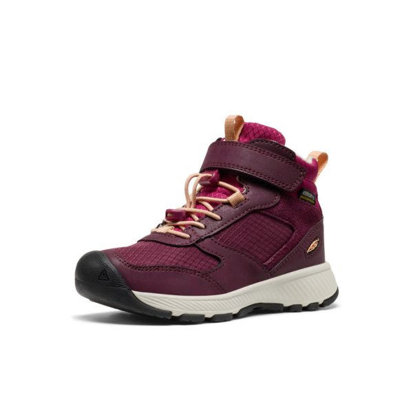 Little Kids' Skua Waterproof Boot  |  Fig/Peach Fuzz - Image 3