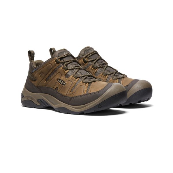 Men's Circadia Waterproof Shoe  |  Shitake/Brindle - Image 2