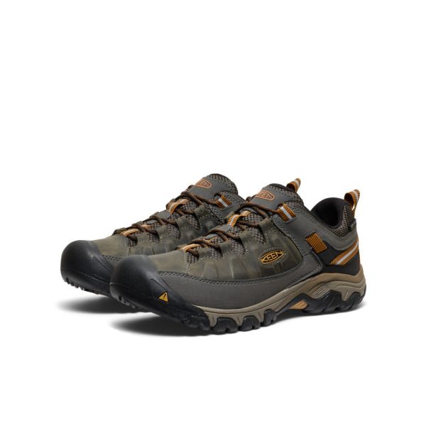 Men's Targhee III Waterproof  |  Black Olive/Golden Brown - Image 2