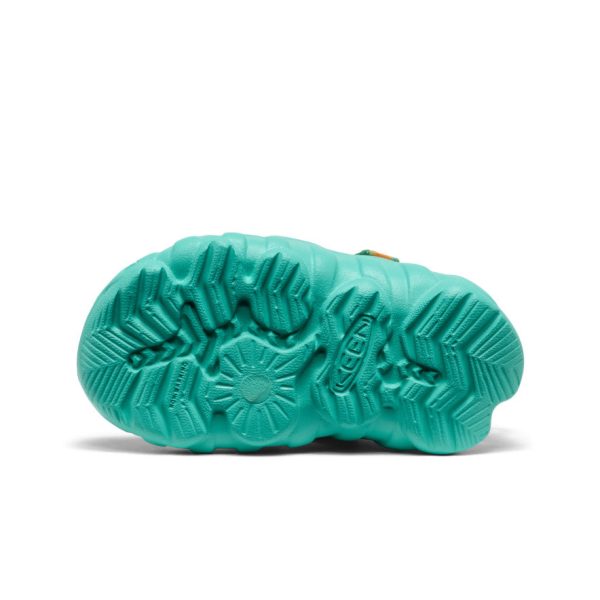 Toddlers' Hyperport H2 Sandal  |  Destination Pack - Image 6