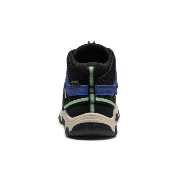 Big Kids' Targhee IV Waterproof Hiking Boot  |  Skipper Blue/Hemlock - Image 5