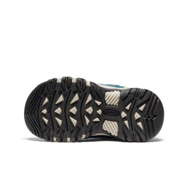 Little Kids' Targhee IV Waterproof Hiking Shoe  |  Reef Waters/Daiquiri Green - Image 6