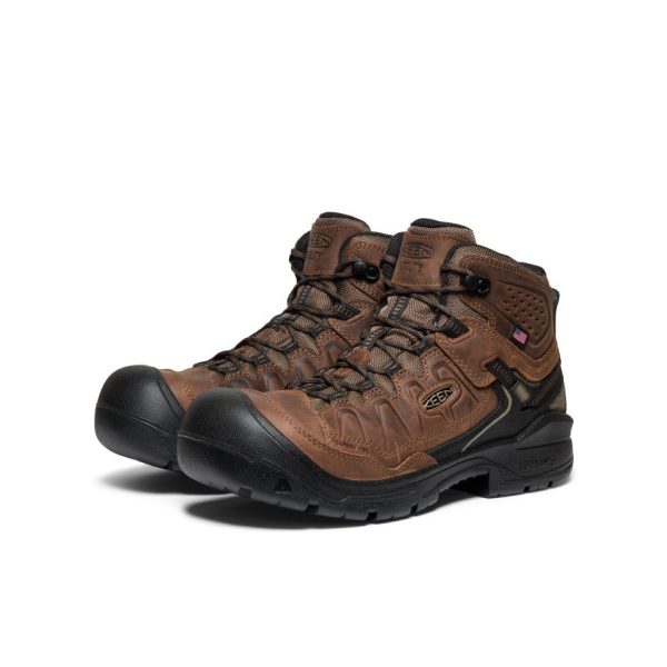 Men's Targhee IV Waterproof Work Boot (Carbon Toe)  |  Dark Earth/Black - Image 2