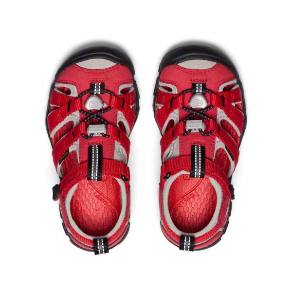 Little Kids' Seacamp II CNX  |  Ribbon Red/Alloy - Image 4