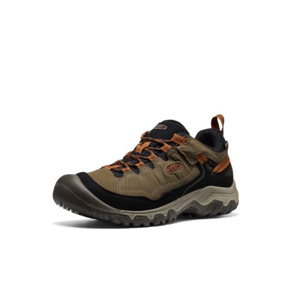 Men's Targhee IV Wide Waterproof Hiking Shoe  |  Sea Turtle/Roasted Pecan - Image 3