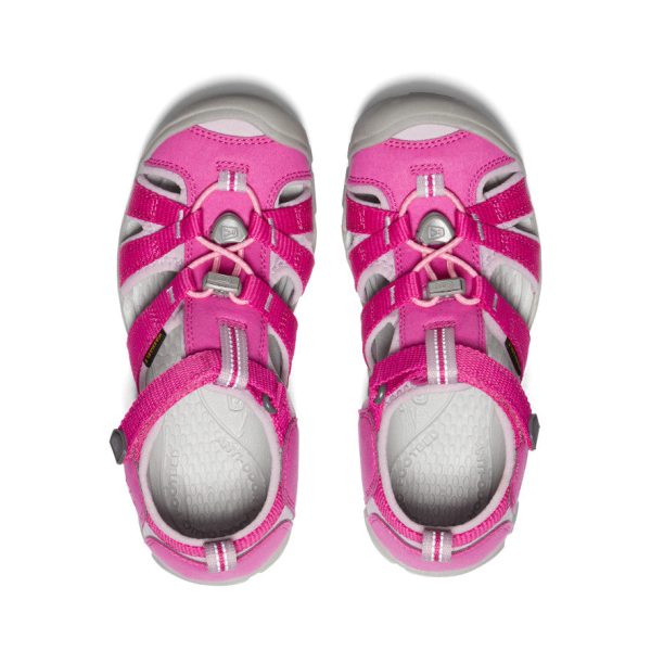 Big Kids' Seacamp II CNX  |  Very Berry/Dawn Pink - Image 4