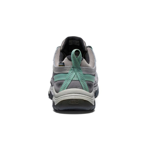 Women's Targhee IV Wide Waterproof Hiking Shoe  |  Alloy/Granite Green - Image 6