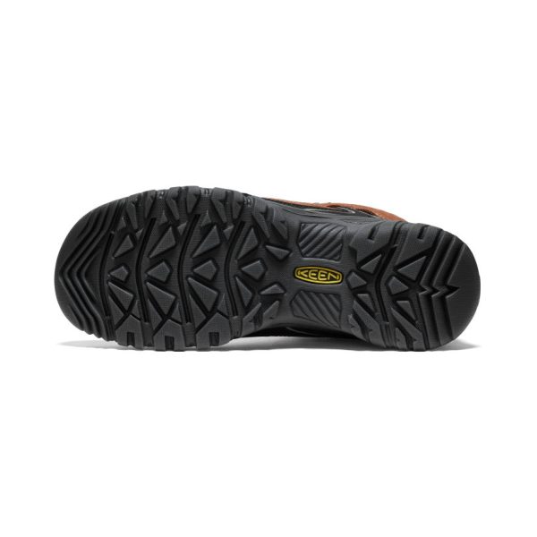 Men's Targhee IV Waterproof Hiking Boot  |  Bison/Black - Image 6