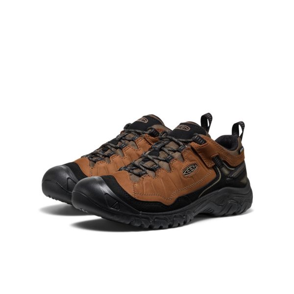 Men's Targhee IV Waterproof Hiking Shoe  |  Bison/Black - Image 2