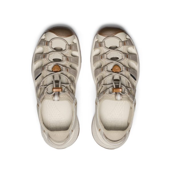 Women's Astoria West Sandal  |  Plaza Taupe/Roasted Pecan - Image 4