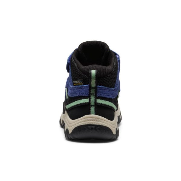 Little Kids' Targhee IV Waterproof Hiking Boot  |  Skipper Blue/Hemlock - Image 5
