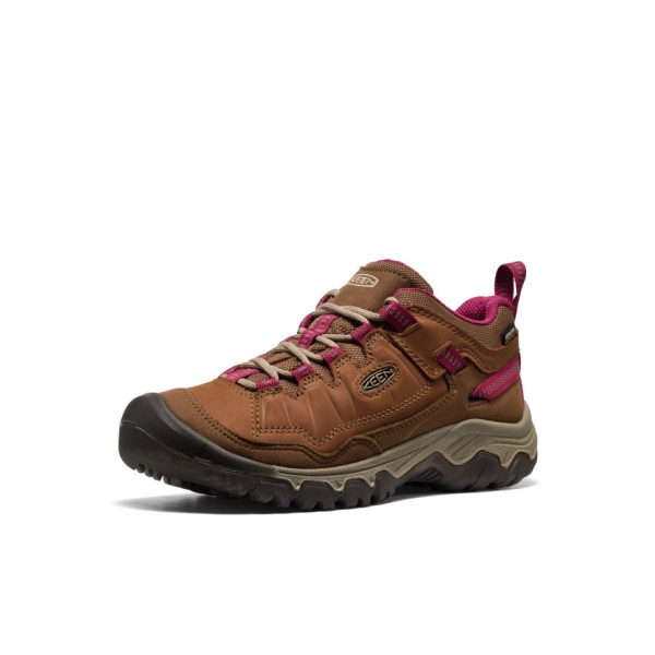 Women's Targhee IV Waterproof Hiking Shoe  |  Bison/Beaujolais - Image 3