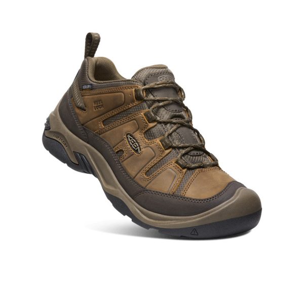 Men's Circadia Waterproof Shoe  |  Shitake/Brindle - Image 3