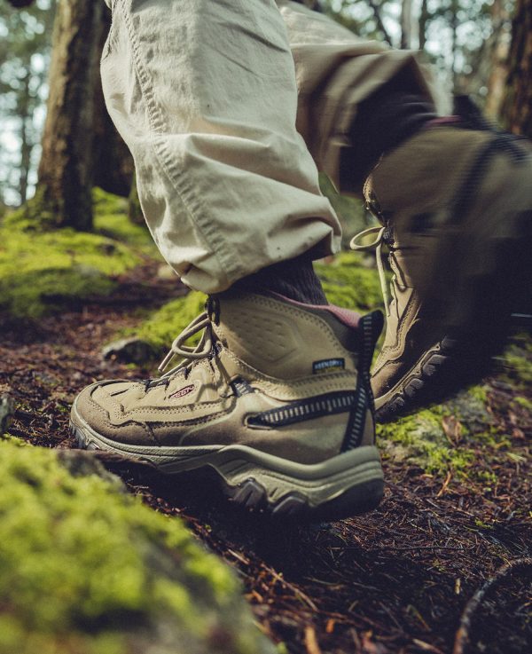Women's Targhee IV Waterproof Hiking Boot  |  Brindle/Nostalgia Rose - Image 8