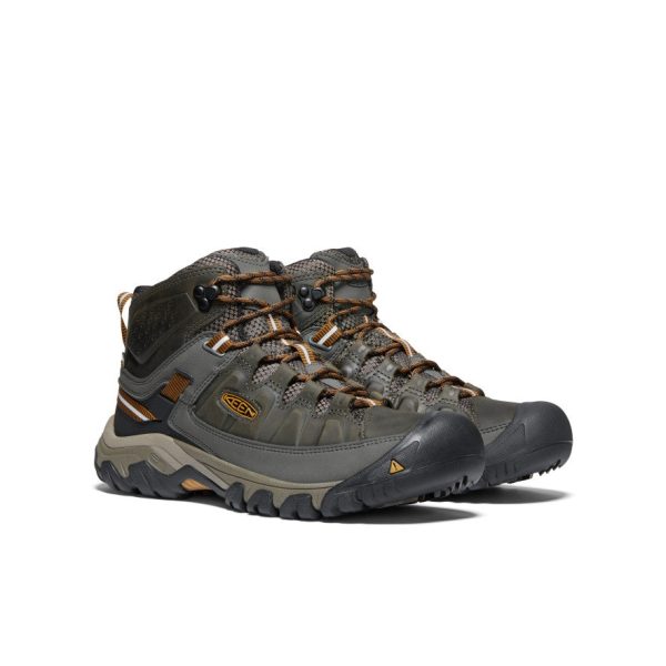 Men's Targhee III Waterproof Mid  |  Black Olive/Golden Brown - Image 2