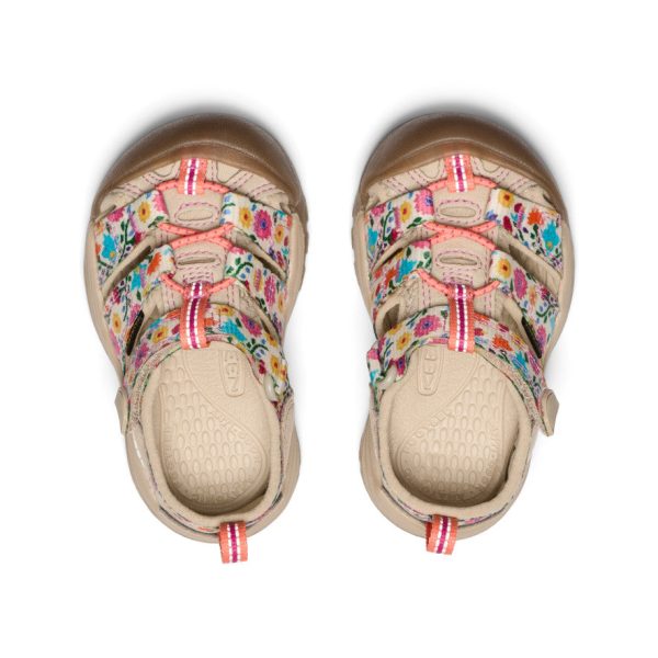 Toddlers' Newport H2  |  Safari/Birch - Image 4