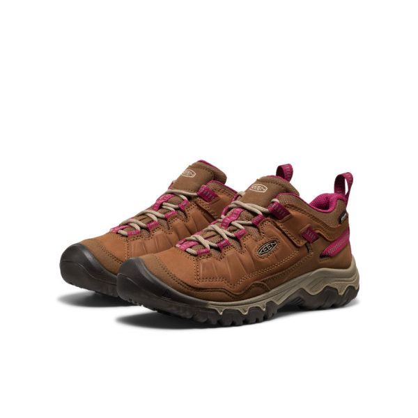 Women's Targhee IV Waterproof Hiking Shoe  |  Bison/Beaujolais - Image 2