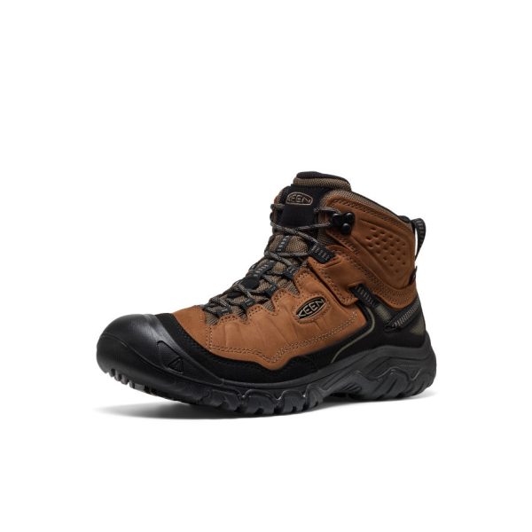 Men's Targhee IV Waterproof Hiking Boot  |  Bison/Black - Image 3