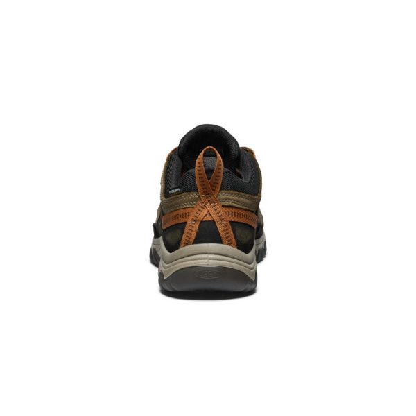 Men's Targhee IV Wide Waterproof Hiking Shoe  |  Sea Turtle/Roasted Pecan - Image 5