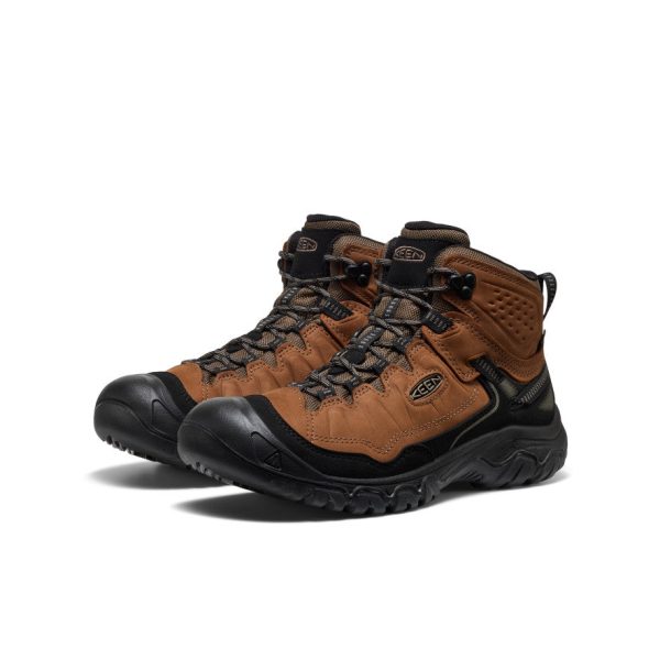 Men's Targhee IV Waterproof Hiking Boot  |  Bison/Black - Image 2