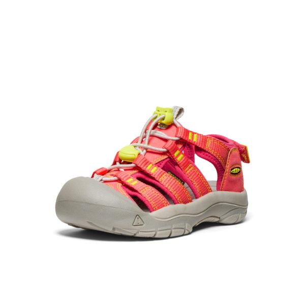Little Kids' Newport Boundless Sandal  |  Dubarry/Evening Primrose - Image 2