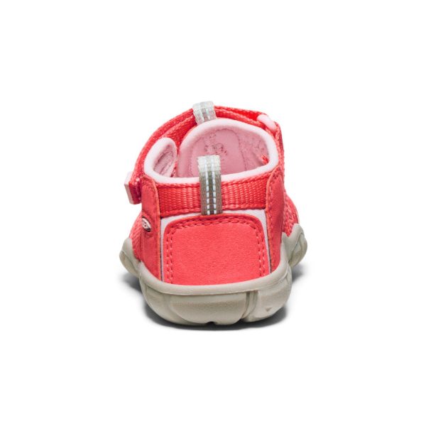 Toddlers' Seacamp II CNX  |  Dubarry/Giggle Pink - Image 5
