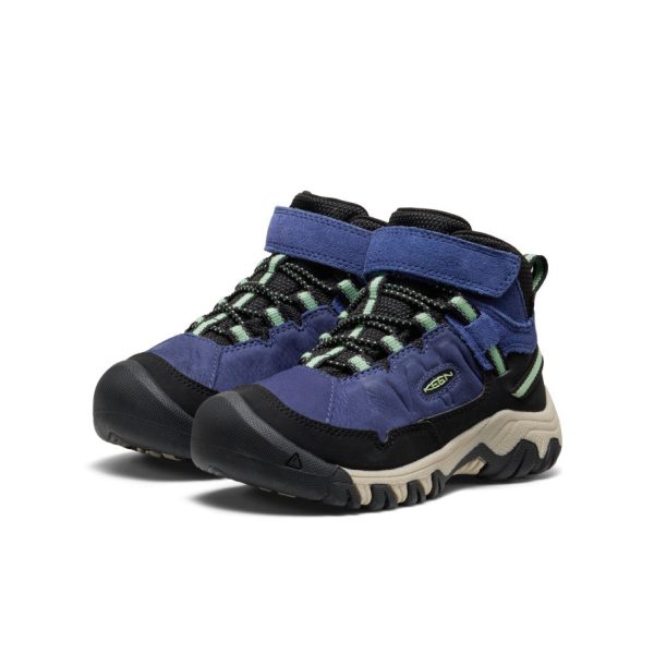 Little Kids' Targhee IV Waterproof Hiking Boot  |  Skipper Blue/Hemlock - Image 3