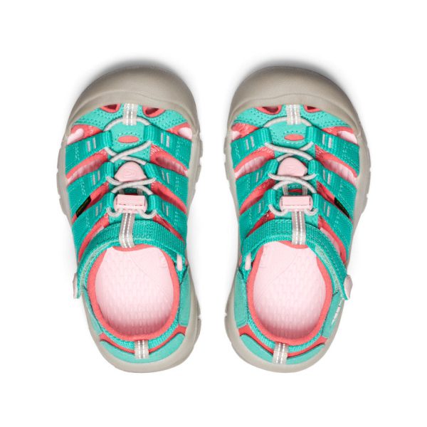 Little Kids' Newport H2  |  Bright Aqua/Giggle Pink - Image 4