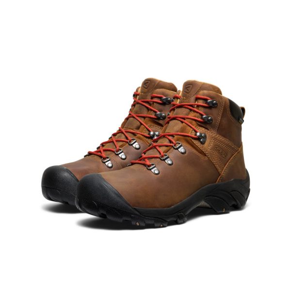 Men's Pyrenees Waterproof Hiking Boot  |  Syrup - Image 4