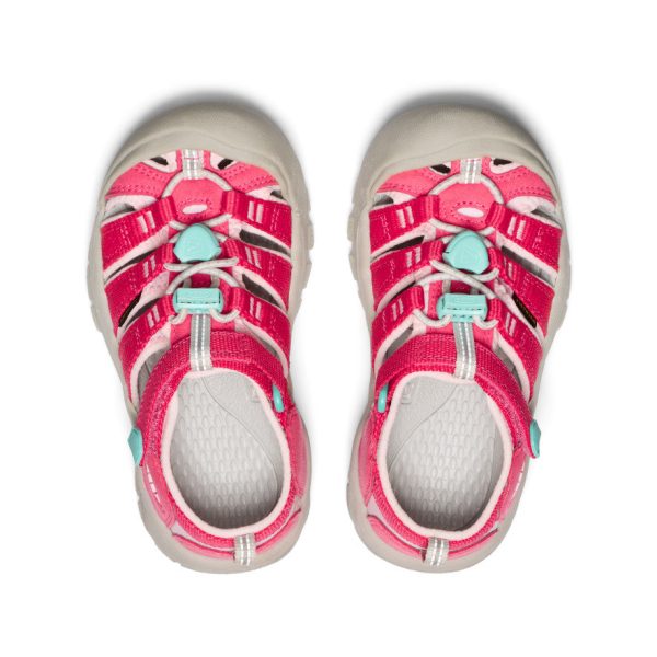 Little Kids' Newport H2  |  Raspberry/Giggle Pink - Image 4