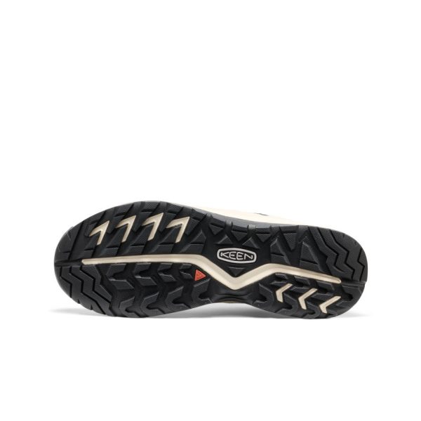 Men's Hightrail EXP Waterproof  |  Canteen/Hemlock - Image 6