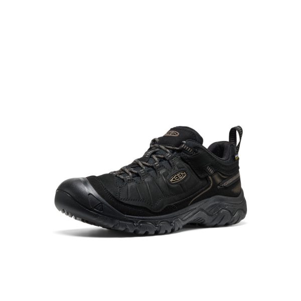 Men's Targhee IV Waterproof Hiking Shoe  |  Triple Black - Image 3
