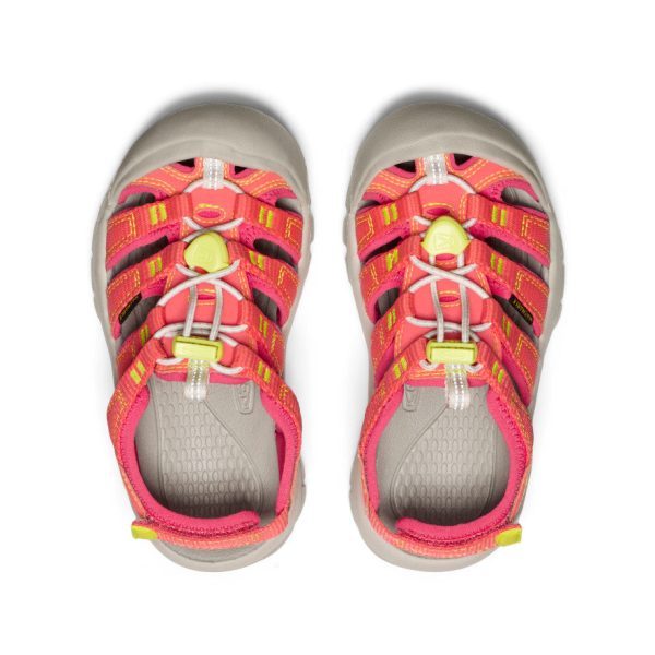 Little Kids' Newport Boundless Sandal  |  Dubarry/Evening Primrose - Image 4